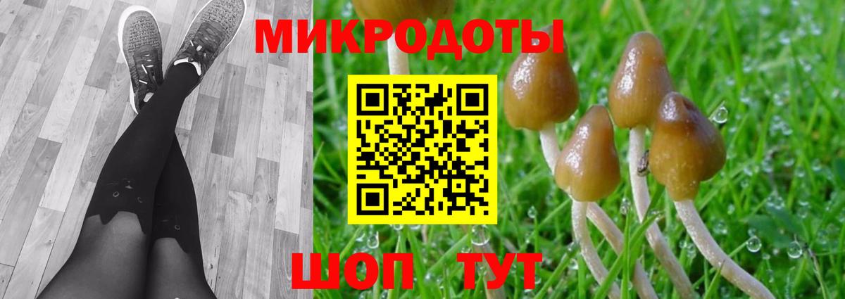 Псилоцибиновые грибы MAGIC MUSHROOMS Мегион